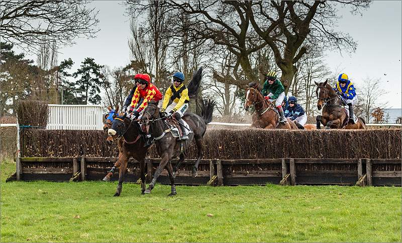 1 In The Kead at the First Fence_Matthew Clarke.jpg - H�i�g�h�a�m� �P�o�i�n�t� �t�o� �P�o�i�n�t